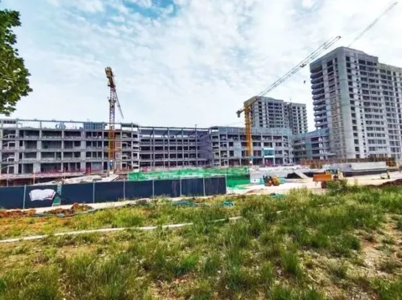 1658224792259957.jpg 1653292698(1).jpg